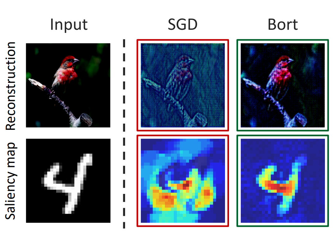 Bort: Towards Explainable Neural Networks with Bounded Orthogonal Constraint